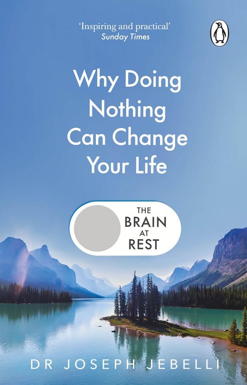 Produktbild: The Brain at Rest