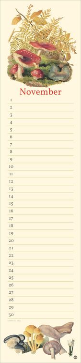Produktbild: Edith Holden: Geburtstagskalender Langplaner