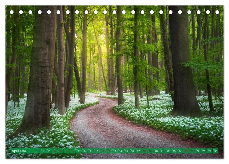 Produktbild: Stille Naturmomente (Tischkalender 2026 DIN A5 quer), CALVENDO Monatskalender