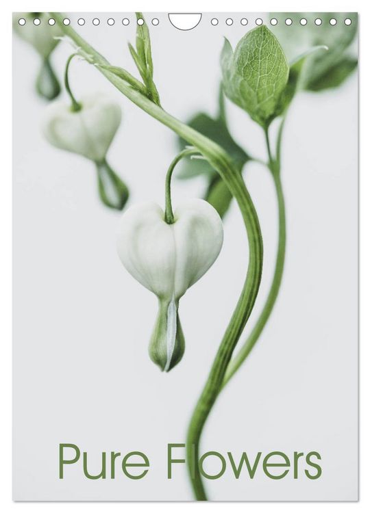 Produktbild: Pure Flowers (Wandkalender 2026 DIN A4 hoch), CALVENDO Monatskalender