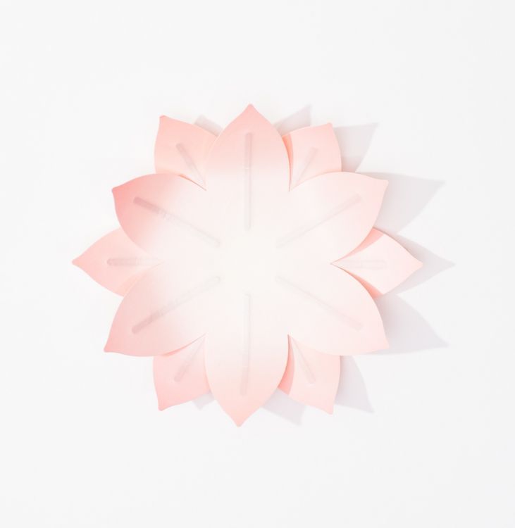 Produktbild: Hanji-Papierschale Wasserlilie Rosa &ndash; Flexible Ablage