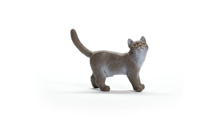 Produktbild: schleich&reg; Farm World Britisch Kurzhaar Katze 4,3cm