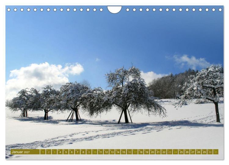 Produktbild: Apfelbaum und Streuobstwiesen (Wandkalender 2027 DIN A4 quer), CALVENDO Monatskalender