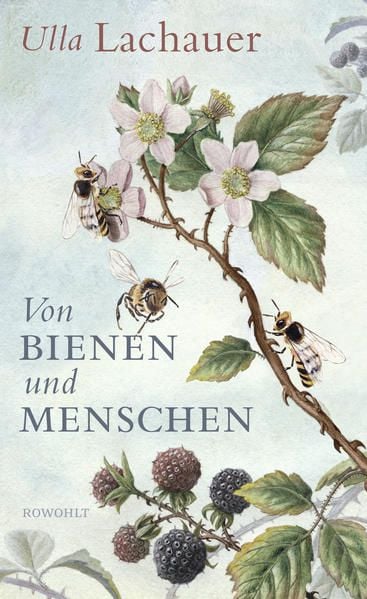 Produktbild: Von Bienen und Menschen