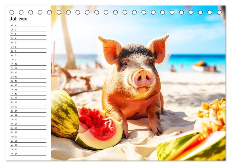 Produktbild: Schweinereien in der Karibik. Sonne und Spa&szlig; mit schwimmenden Schweinen (Tischkalender 2026 DIN A5 quer), CALVENDO Monatskalender