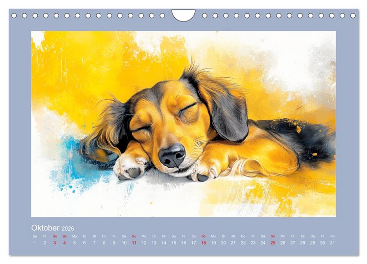 Produktbild: Dackelzauber. Charmante Begleiter im lieblichen Aquarell-Stil (Wandkalender 2026 DIN A4 quer), CALVENDO Monatskalender