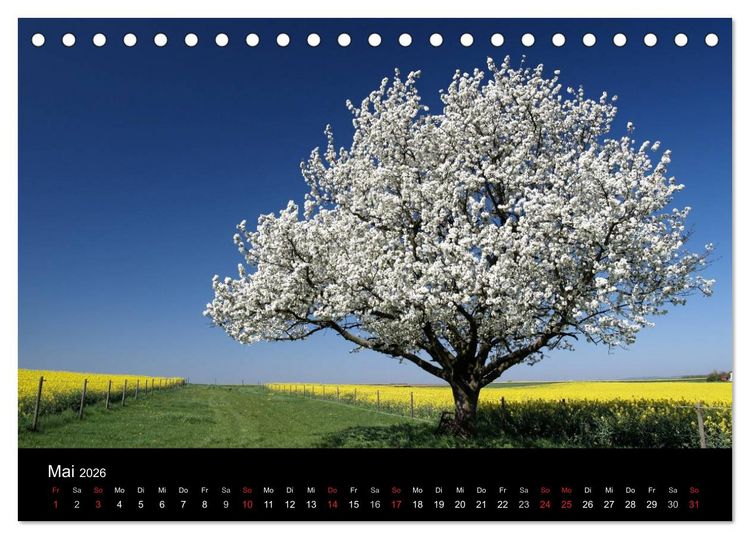 Produktbild: Himmel &uuml;ber Rheinhessen (Tischkalender 2026 DIN A5 quer), CALVENDO Monatskalender