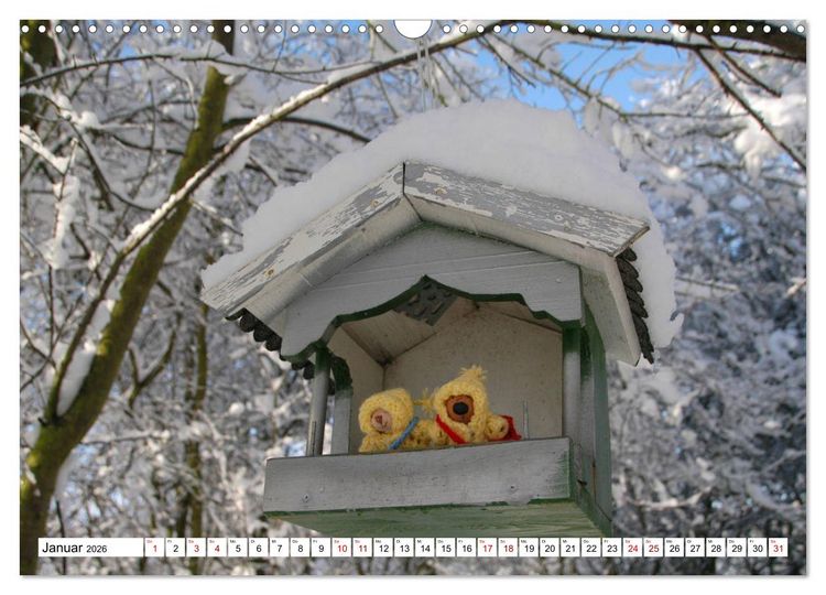 Produktbild: Die kleine Welt der Teddyb&auml;rchen (Wandkalender 2026 DIN A3 quer), CALVENDO Monatskalender