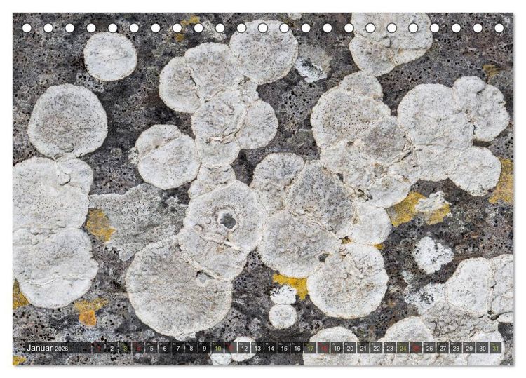 Produktbild: Krustenflechten - Pioniere auf Fels (Tischkalender 2026 DIN A5 quer), CALVENDO Monatskalender