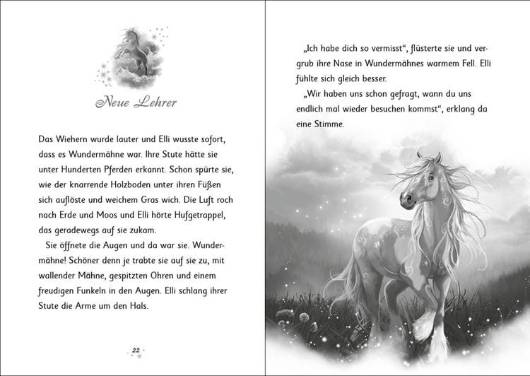 Produktbild: Wunderm&auml;hne (Band 6) - Der Zauber der Wasserpferde