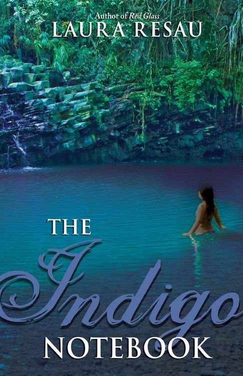 Produktbild: The Indigo Notebook