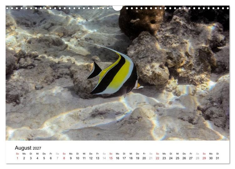 Produktbild: Unterwasserwelt der Malediven II (Wandkalender 2027 DIN A3 quer), CALVENDO Monatskalender