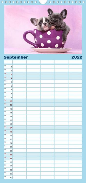 Produktbild: Bullys - Franz&ouml;sische Bulldoggen 2022 - Familienplaner hoch (Wandkalender 2022 , 21 cm x 45 cm, hoch)