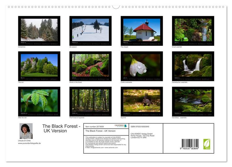 Produktbild: The Black Forest - UK Version (High Quality Premium Wall Calendar 2026 DIN A2 landscape),CALVENDO 12 Month Wall Calendar