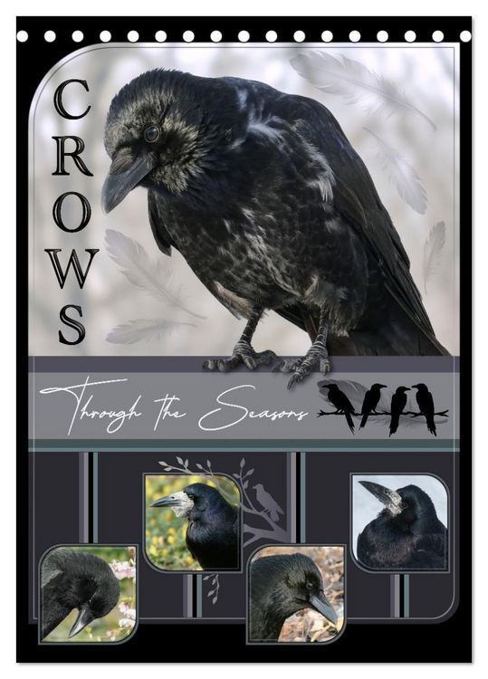 Produktbild: Crows - Through the Seasons (Desk Calendar 2026 DIN A5 portrait), CALVENDO 12 Month DeskCalendar