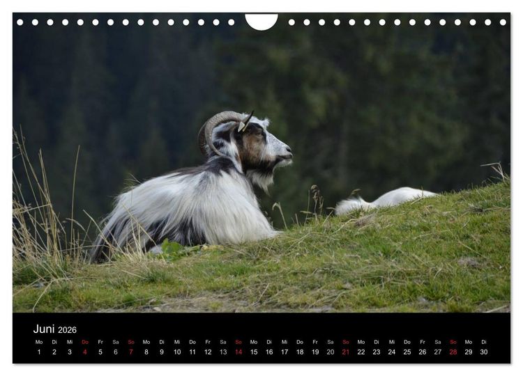 Produktbild: Maramures - Rum&auml;niens zeitloser Norden (Wandkalender 2026 DIN A4 quer), CALVENDO Monatskalender