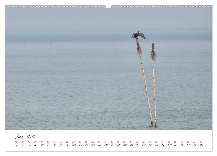 Produktbild: Naturpark Wattenmeer und Helgoland (Wandkalender 2026 DIN A2 quer), CALVENDO Monatskalender