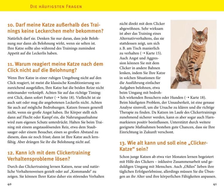 Produktbild: Katzen-Clicker-Box