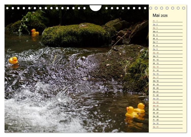Produktbild: Enten-Rennen (Wandkalender 2026 DIN A4 quer), CALVENDO Monatskalender