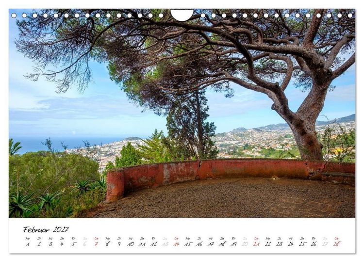 Produktbild: Madeira - ewiger Fr&uuml;hling (Wandkalender 2027 DIN A4 quer), CALVENDO Monatskalender