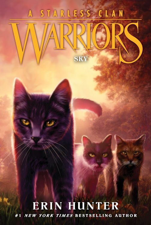 Produktbild: Warriors: A Starless Clan #2: Sky