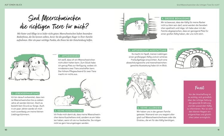 Produktbild: Meerschweinchen