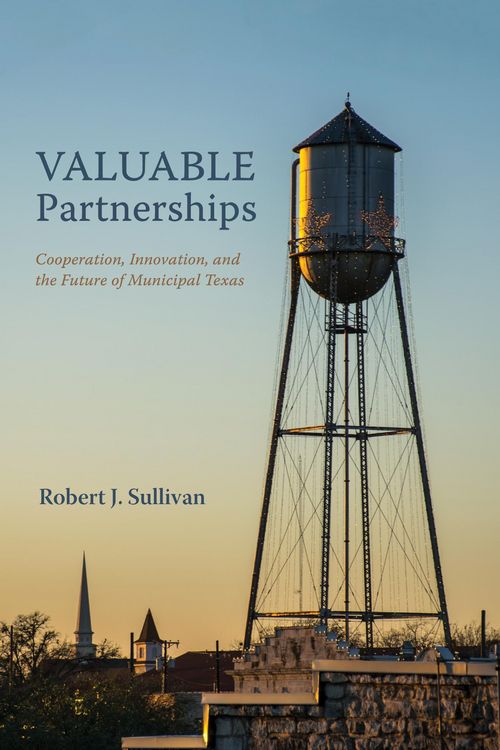 Produktbild: Valuable Partnerships
