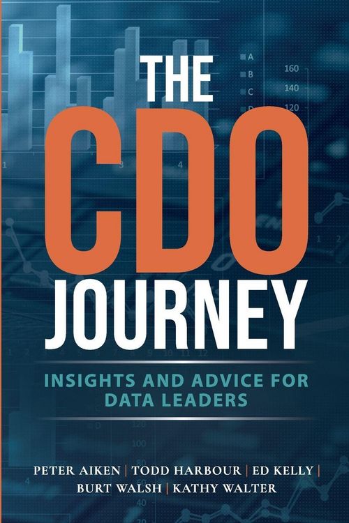 Produktbild: The CDO Journey