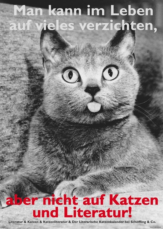 Produktbild: Plakat (VE12, Rolle): Man kann im Leben auf vieles verzichten, aber nicht auf Katzen und Literatur