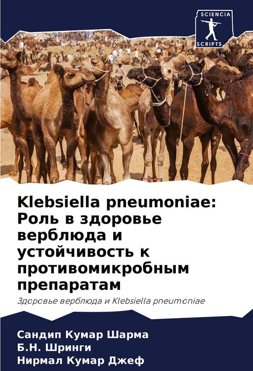 Produktbild: Klebsiella pneumoniae: Rol' w zdorow'e werbl&uuml;da i ustojchiwost' k protiwomikrobnym preparatam