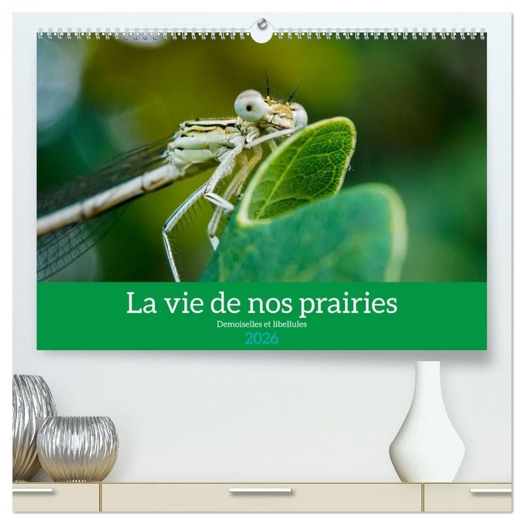 Produktbild: La vie de nos prairies - Demoiselles et libellules (Calendrier mural 2026 DIN A2 vertical) calendrier de bureau