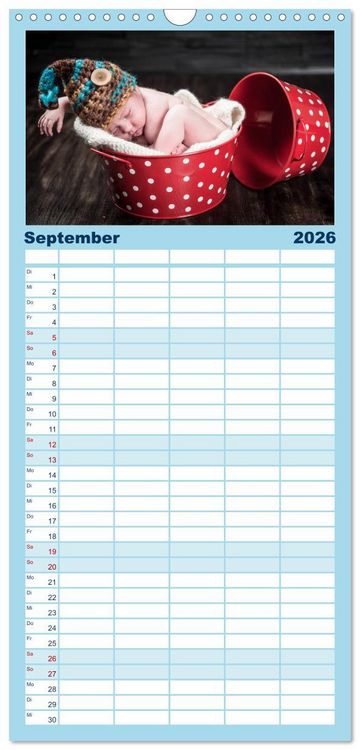 Produktbild: Familienplaner 2026 - Baby - s&uuml;&szlig;e Tr&auml;ume mit 5 Spalten (Wandkalender, 21 x 45 cm) CALVENDO