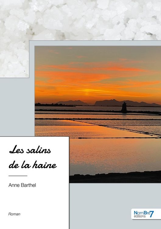Produktbild: Les salins de la haine