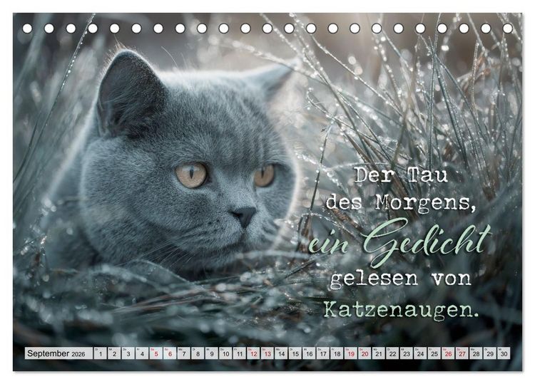 Produktbild: Katzenpoesie - Herzber&uuml;hrende Verse (Tischkalender 2026 DIN A5 quer), CALVENDO Monatskalender
