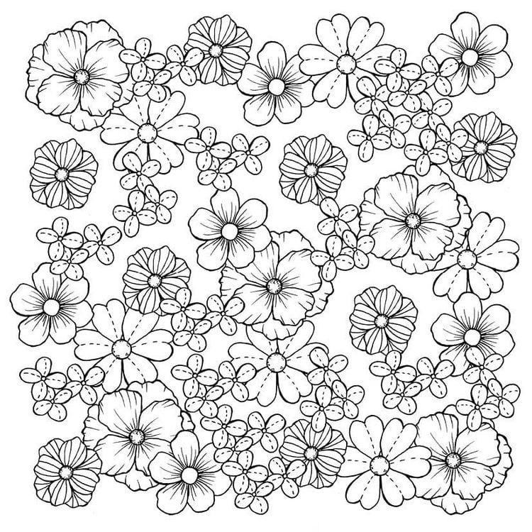 Produktbild: 333 Ausmalen &ndash;&nbsp;Wunder der Natur
