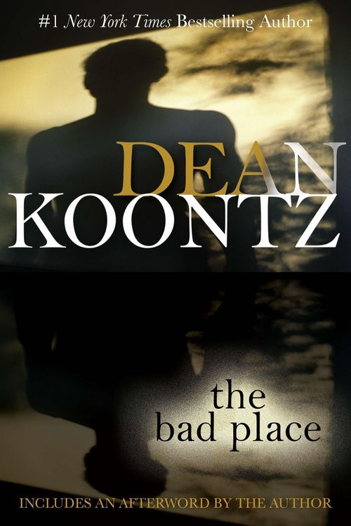 Produktbild: The Bad Place