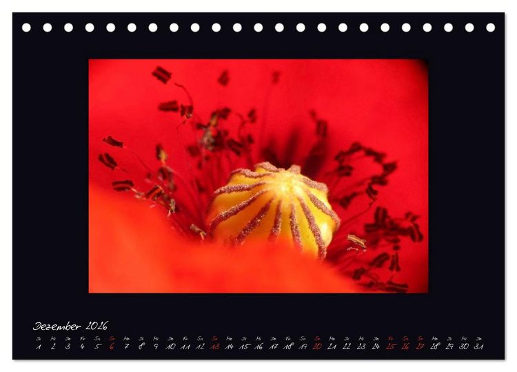 Produktbild: MOHNographie (Tischkalender 2026 DIN A5 quer), CALVENDO Monatskalender