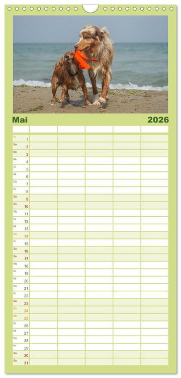 Produktbild: Familienplaner 2026 - POWERHUNDE 2026 mit 5 Spalten (Wandkalender, 21 x 45 cm) CALVENDO