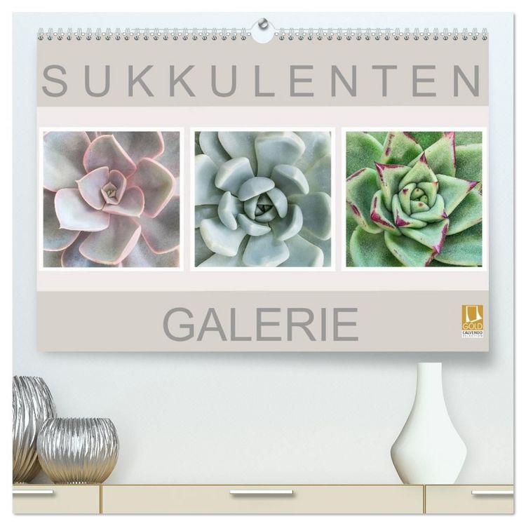 Produktbild: Sukkulenten Galerie (hochwertiger Premium Wandkalender 2027 DIN A2 quer), Kunstdruck in Hochglanz