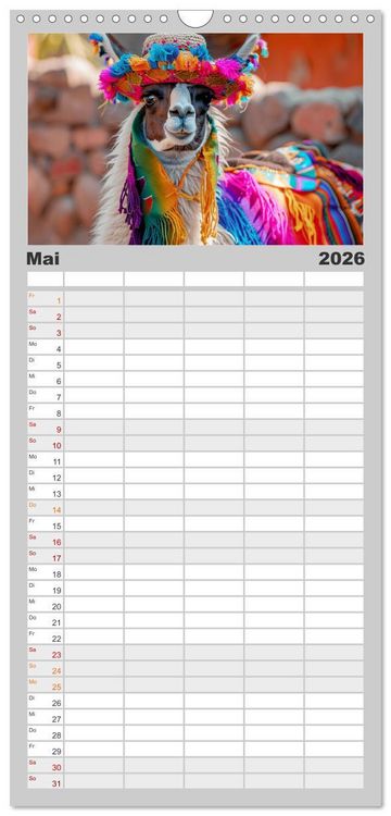 Produktbild: Familienplaner 2026 - Lamas auf Tour. Perus flauschige Fashion-Ikonen mit 5 Spalten (Wandkalender, 21 x 45 cm) CALVENDO