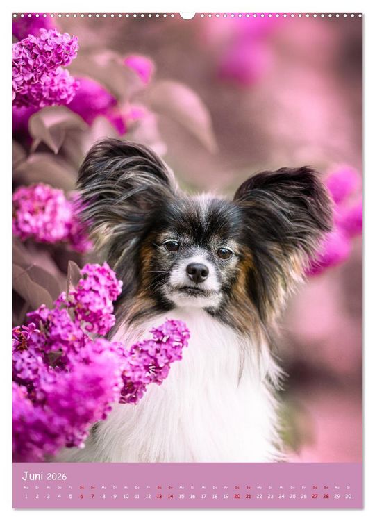 Produktbild: Flora Canidae - der Hunde-Bl&uuml;hpflanzen-Kalender (Wandkalender 2026 DIN A2 hoch), CALVENDO Monatskalender