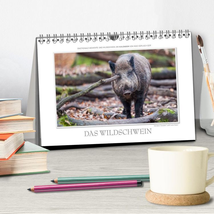 Produktbild: Emotionale Momente: Das Wildschwein. / CH-Version (Tischkalender 2026 DIN A5 quer), CALVENDO Monatskalender