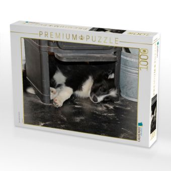 Produktbild: CALVENDO Puzzle Yaris liebt den Kamin | 1000 Teile Lege-Gr&ouml;&szlig;e 64x48cm Foto-Puzzle f&uuml;r gl&uuml;ckliche Stunden