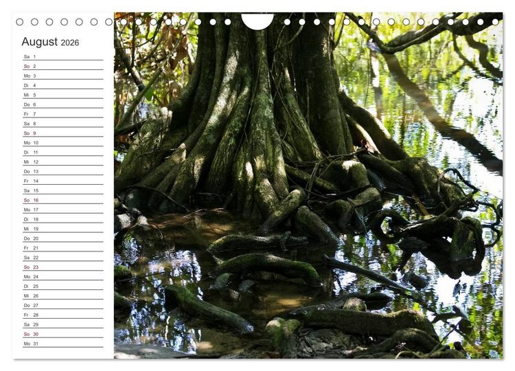Produktbild: Costa Rica - Natur Pur (Wandkalender 2026 DIN A4 quer), CALVENDO Monatskalender