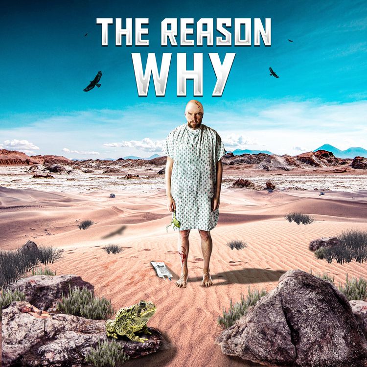 Produktbild: The Reason Why