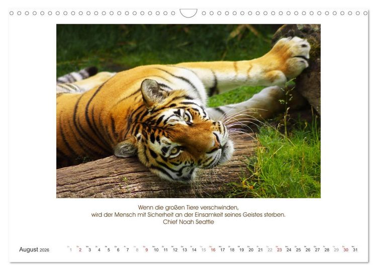 Produktbild: Der Tierkalender mit Zitaten, Weisheiten und Spr&uuml;chen (Wandkalender 2026 DIN A3 quer), CALVENDO Monatskalender