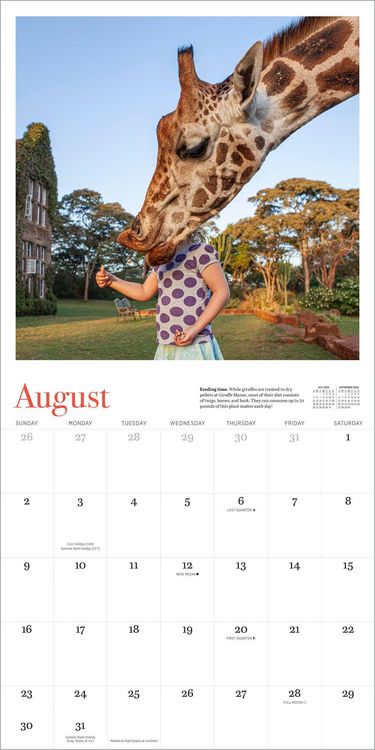 Produktbild: Giraffe Manor Wall Calendar 2026