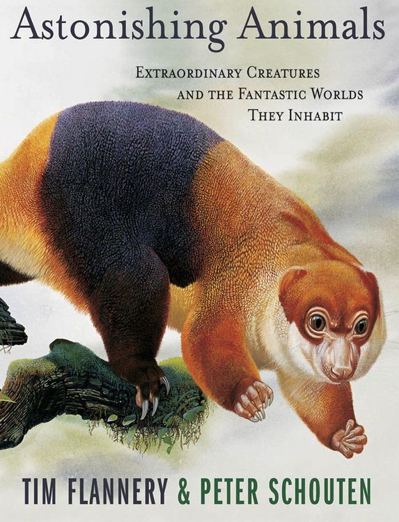 Produktbild: Astonishing Animals