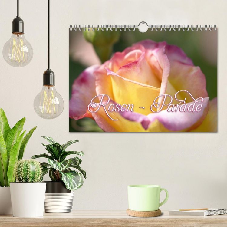 Produktbild: Rosen - Parade (Wandkalender 2026 DIN A4 quer), CALVENDO Monatskalender