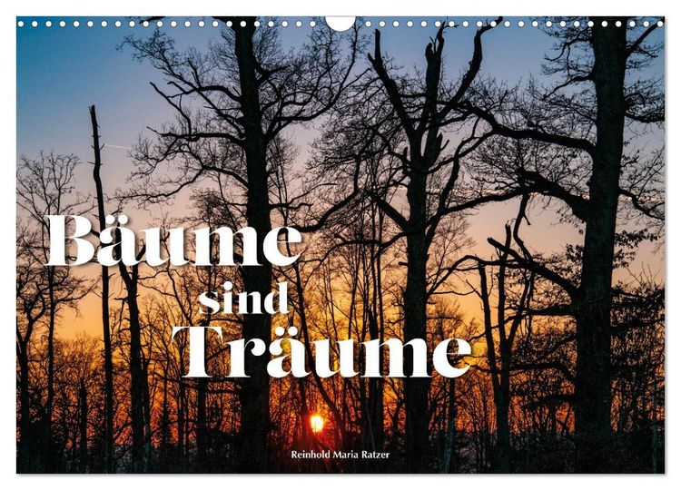 Produktbild: B&auml;ume sind Tr&auml;ume (Wandkalender 2027 DIN A3 quer), CALVENDO Monatskalender